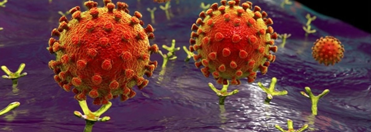Científicos: Cómo funciona el coronavirus y de dónde vino