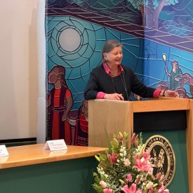 IX CONGRESO AMIINSHAE