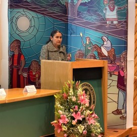 IX CONGRESO AMIINSHAE