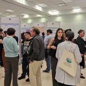 IX CONGRESO AMIINSHAE