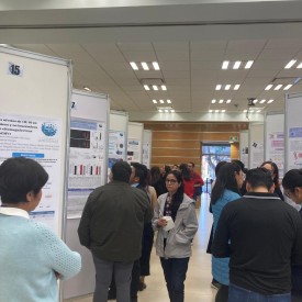 IX CONGRESO AMIINSHAE