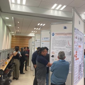 IX CONGRESO AMIINSHAE