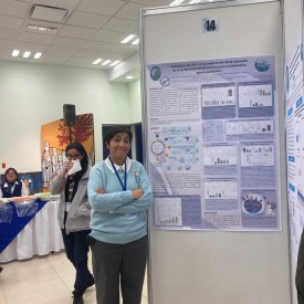 IX CONGRESO AMIINSHAE