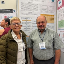 IX CONGRESO AMIINSHAE