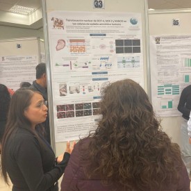 IX CONGRESO AMIINSHAE