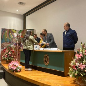 IX CONGRESO AMIINSHAE