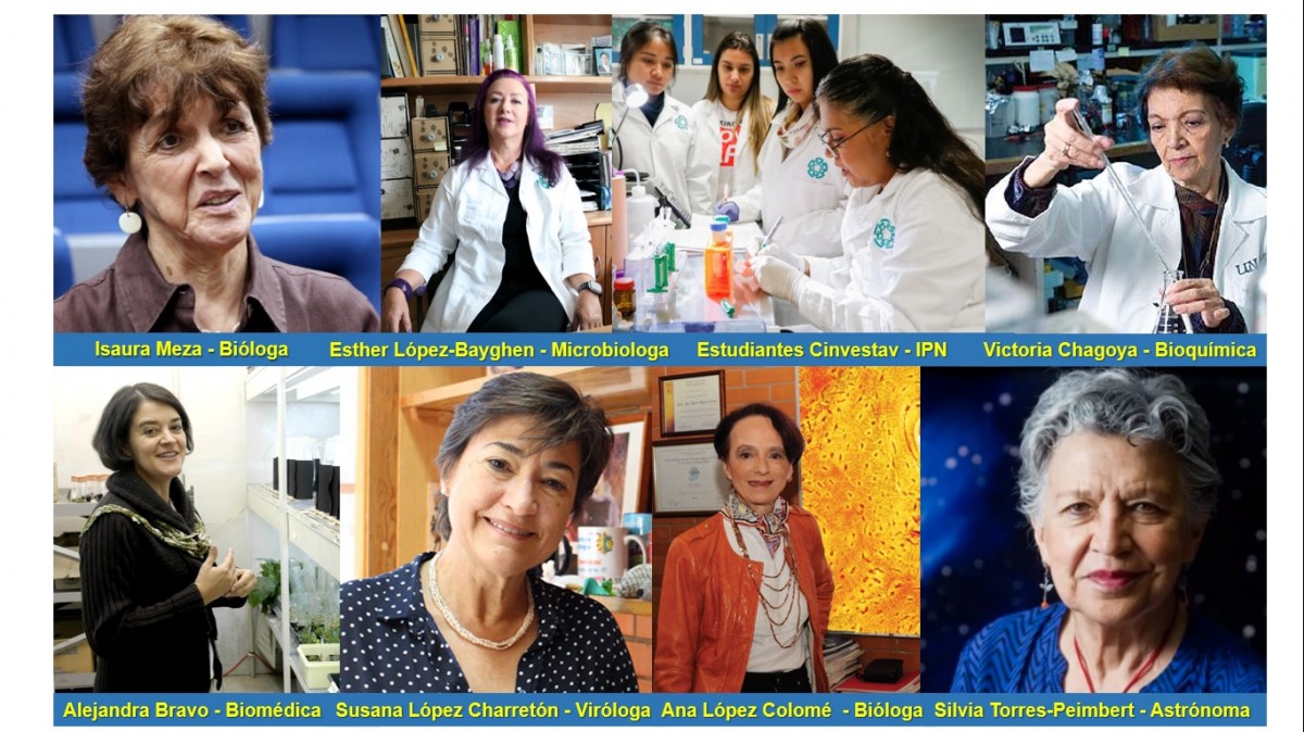 8 de Marzo, día Internacional de la Mujer