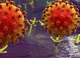 Científicos: Cómo funciona el coronavirus y de dónde vino